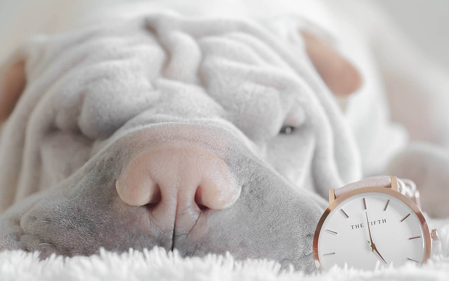 Czy powinno się spać z zegarkiem?