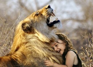 Jakie gry dla dzieci na Xbox Series s?